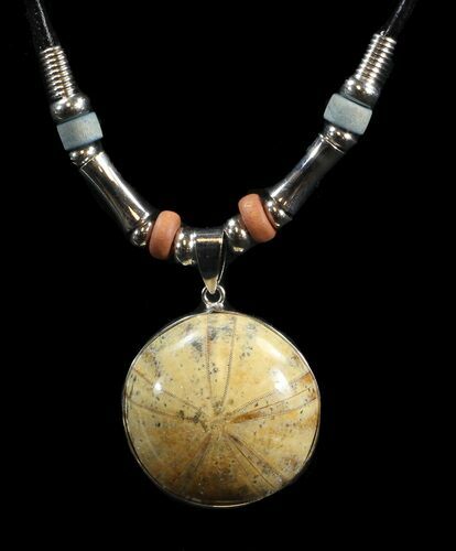 Polished Fossil Sand Dollar Necklace #43100